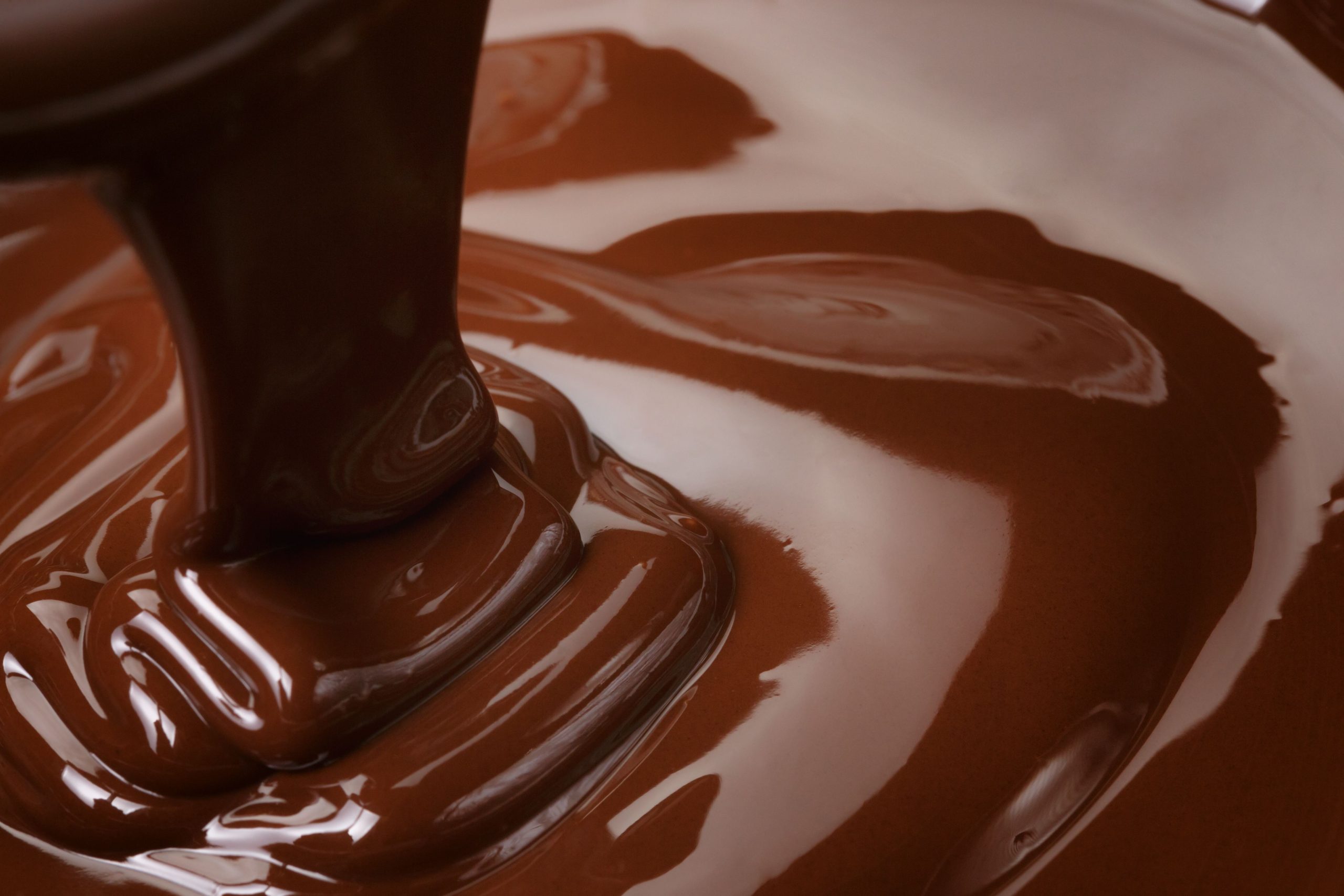 chocolate scaled - Intoxicação por chocolate. Por que acontece ?